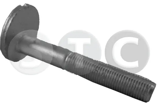 Camber Correction Screw (T439218)