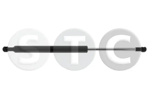 Gas Spring, boot/cargo area (T446295)