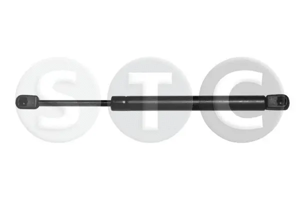 Gas Spring, boot/cargo area (T446779)