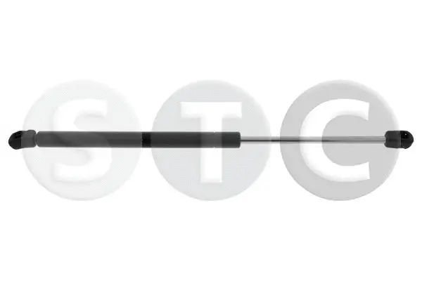 Gas Spring, boot/cargo area (T446346)