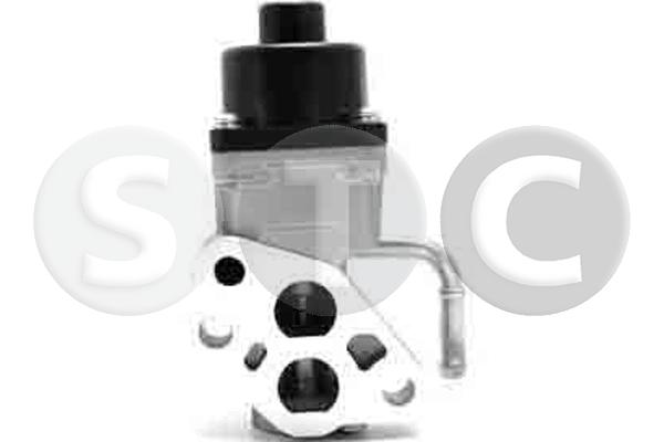 EGR Valve (T493169)