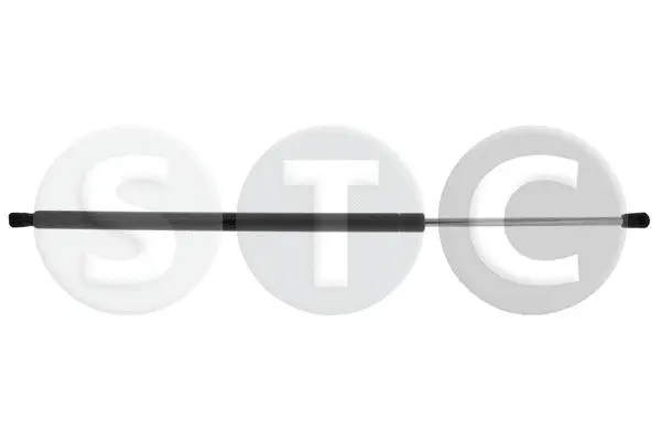 Gas Spring, boot/cargo area (T446838)