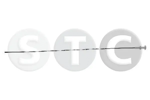 Oil Dipstick (T404672)