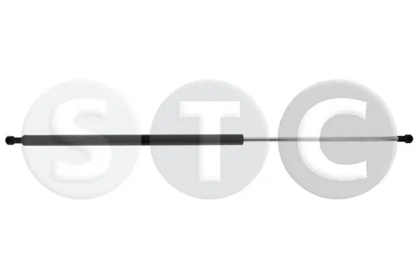 Gas Spring, boot/cargo area (T446331)