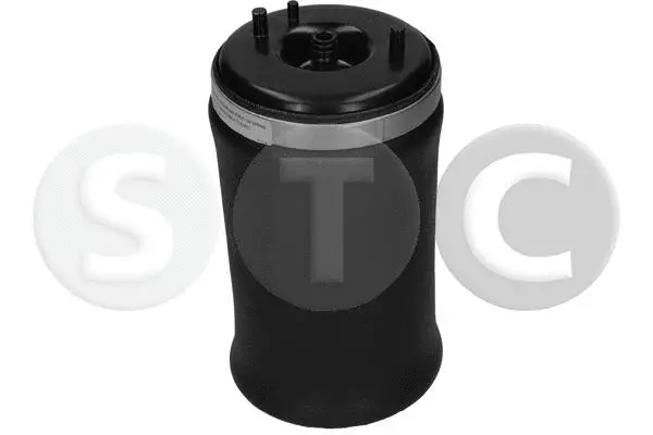 Air Spring, suspension (T442966)