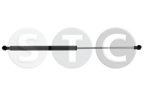 Gas Spring, boot/cargo area (T446524)