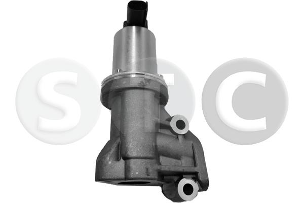 EGR Valve (T493150)