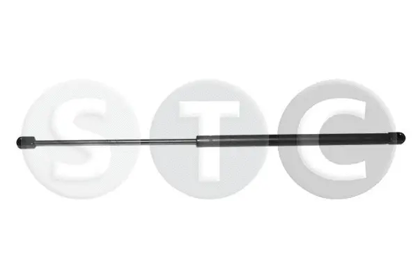Gas Spring, boot/cargo area (T446360)