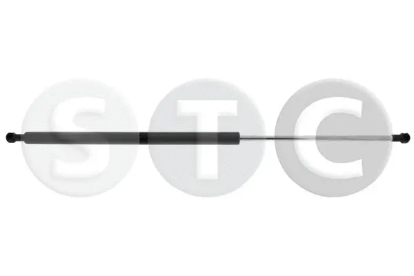 Gas Spring, boot/cargo area (T446413)
