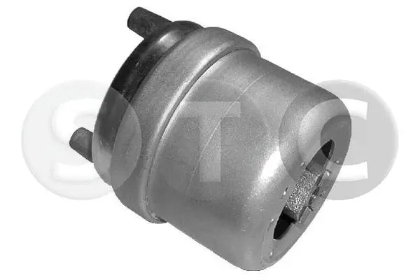 Mounting, engine (T404371)