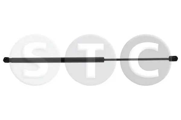 Gas Spring, boot/cargo area (T446379)