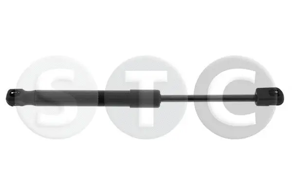 Gas Spring, bonnet (T446440)