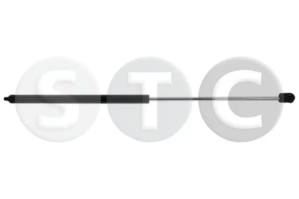 Gas Spring, bonnet (T446691)