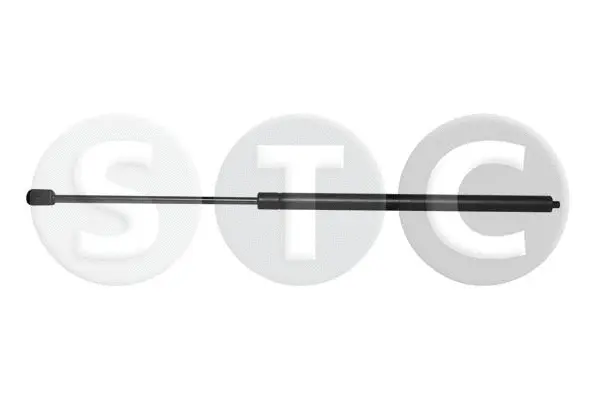 Gas Spring, bonnet (T446209)