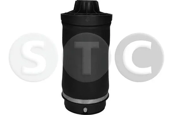 Air Spring, suspension (T442957)