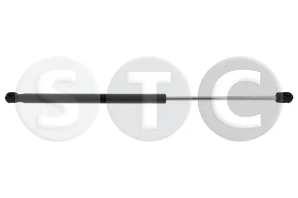 Gas Spring, boot/cargo area (T446555)