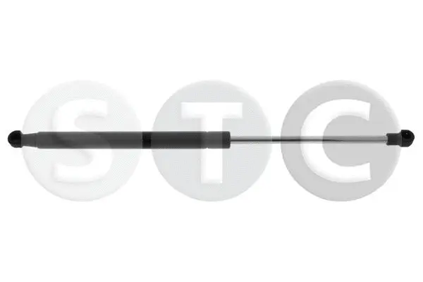 Gas Spring, bonnet (T446166)