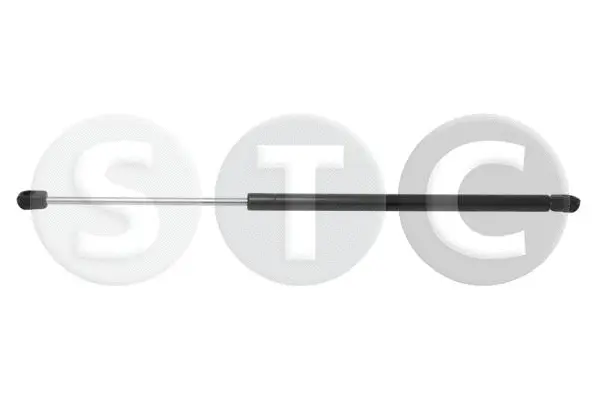 Gas Spring, boot/cargo area (T446386)