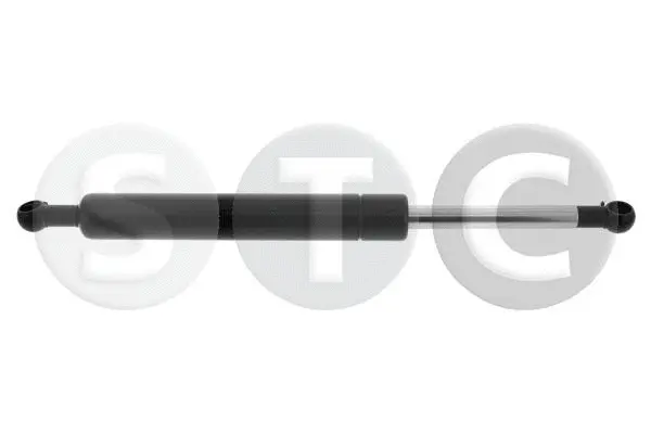 Gas Spring, boot/cargo area (T446407)