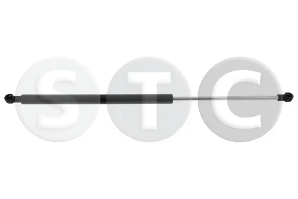 Gas Spring, boot/cargo area (T446273)