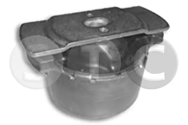 Bushing, axle beam (T453969)