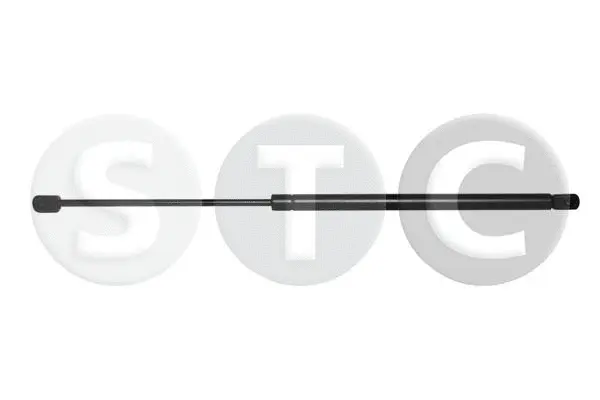 Gas Spring, boot/cargo area (T446328)