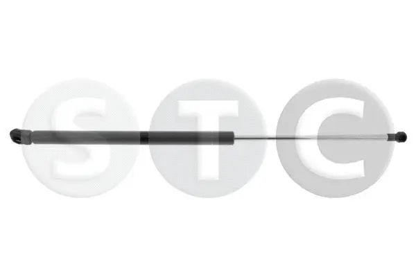 Gas Spring, boot/cargo area (T446509)