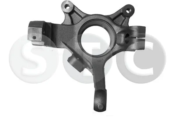 Steering Knuckle, wheel suspension (T490478)