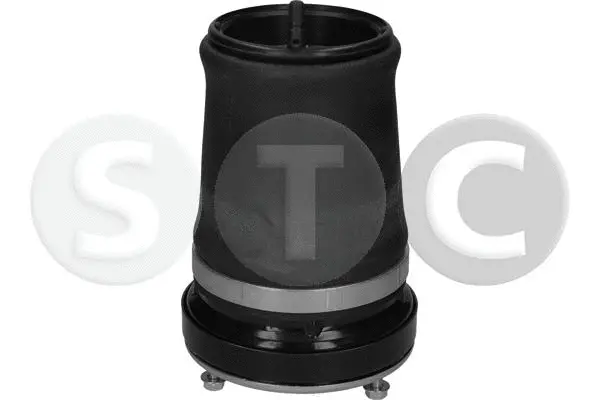 Air Spring, suspension