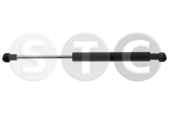 Gas Spring, bonnet (T446589)