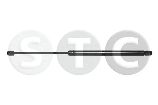 Gas Spring, boot/cargo area (T446764)