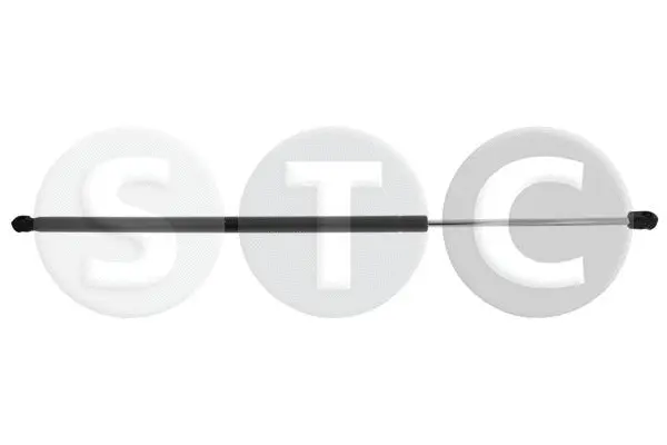 Gas Spring, boot/cargo area (T446446)