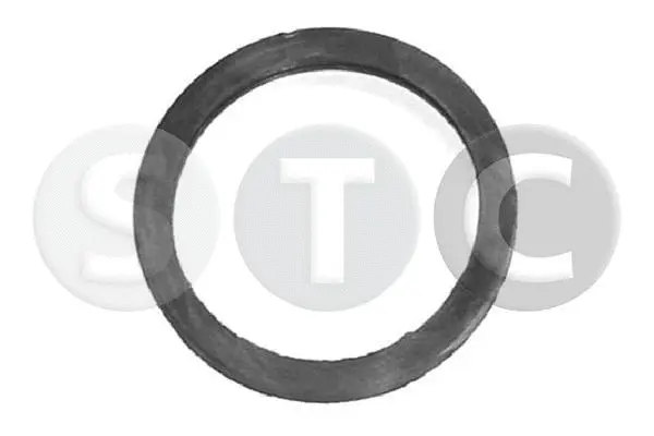 Seal, thermostat (T402362)