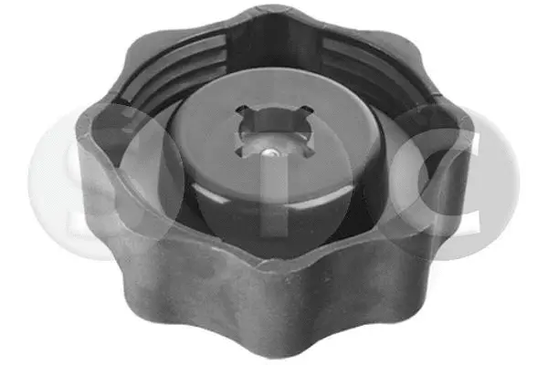 Cap, coolant tank (T415166)