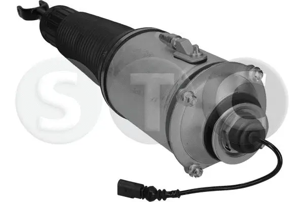 Air Suspension Strut (T442913)