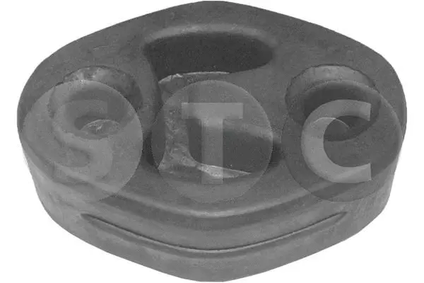 Mount, exhaust system (T404269)