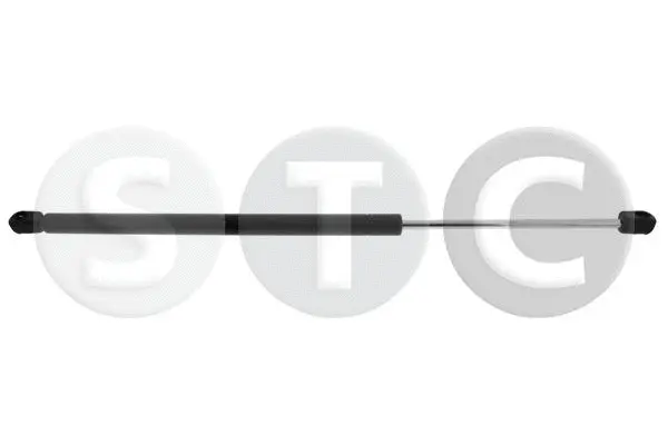 Gas Spring, boot/cargo area (T446178)
