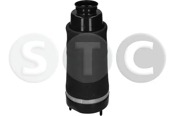 Air Spring, suspension
