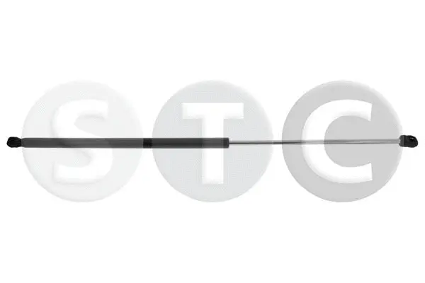 Gas Spring, boot/cargo area (T446318)