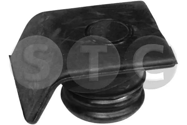 Sealing Cap, oil filler neck (T402742)