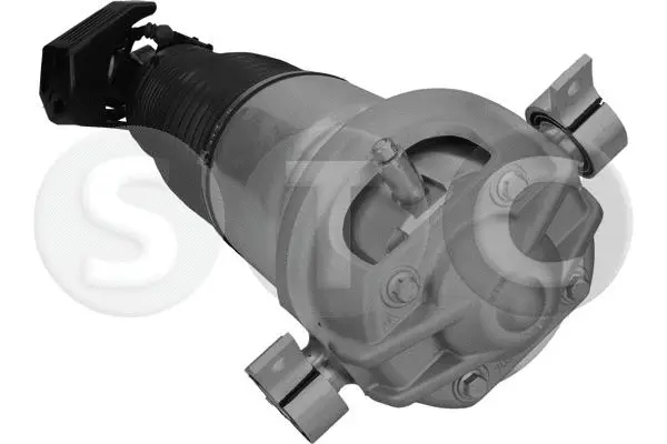 Air Suspension Strut (T442919)