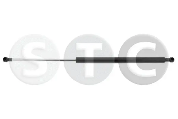 Gas Spring, boot/cargo area (T446165)
