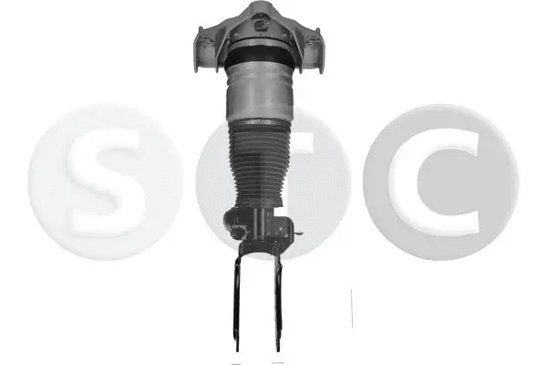 Air Suspension Strut (T442916)