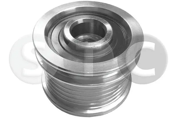 Alternator Freewheel Clutch (T406014)