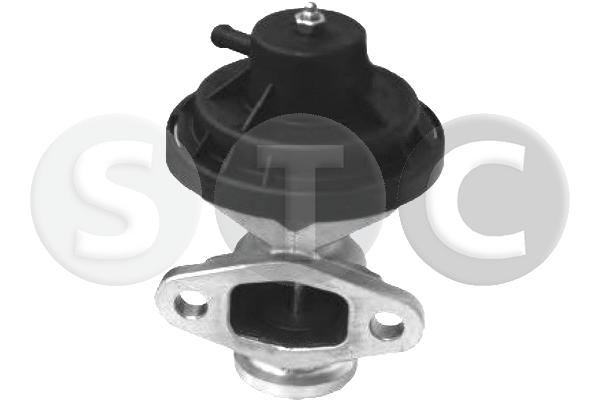 EGR Valve (T493171)