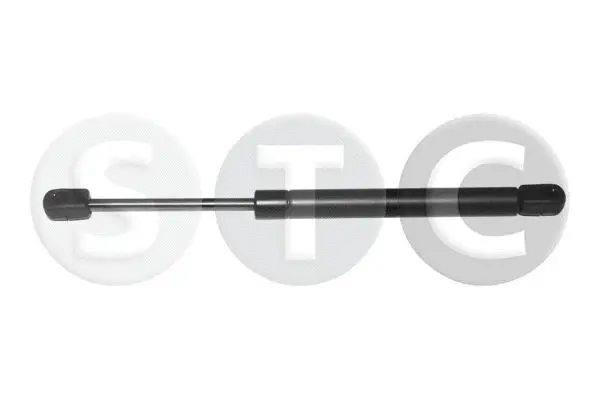 Gas Spring, boot/cargo area (T446516)