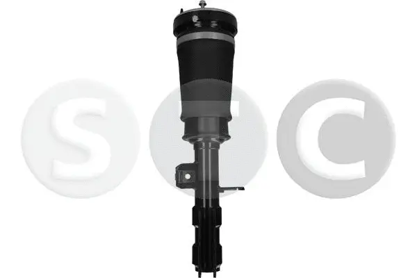 Air Suspension Strut (T442904)