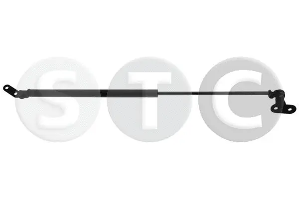 Gas Spring, boot/cargo area (T446549)