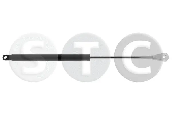 Gas Spring, boot/cargo area (T446673)