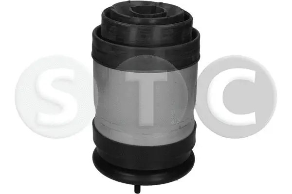 Air Spring, suspension